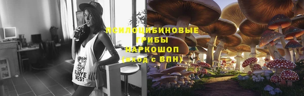 кристаллы Инта