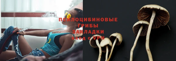 кристаллы Инта
