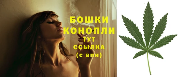 кристаллы Инта