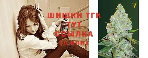 кристаллы Инта